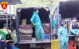 Chợ cá Yên Sở nhộn nhịp ngày ông Công ông Táo